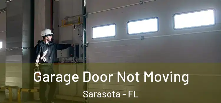  Garage Door Not Moving Sarasota - FL